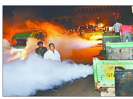  twenty houses set fired by fireworks 
